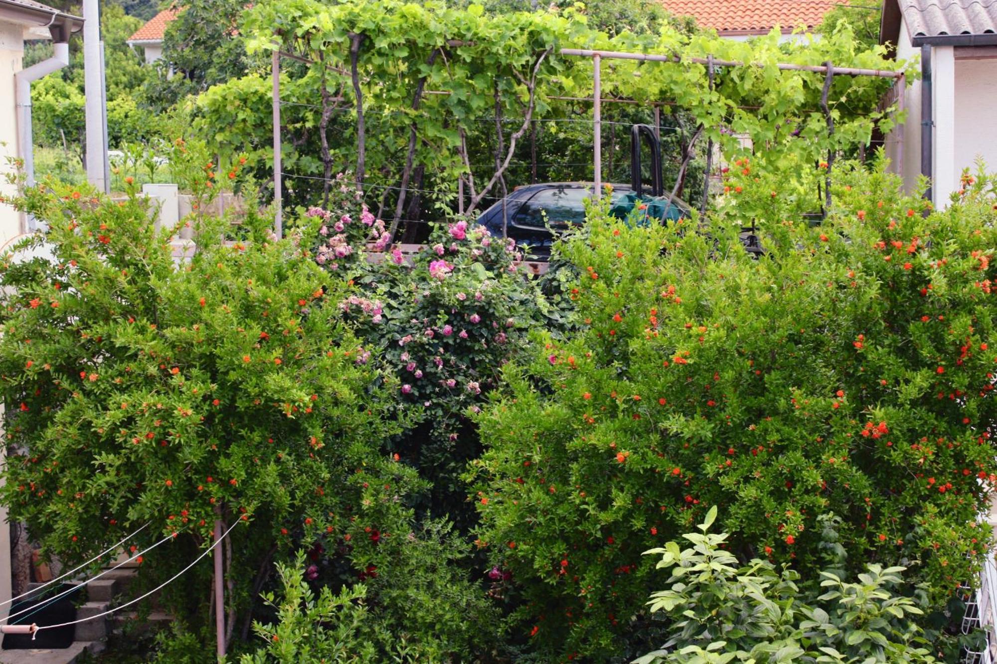 Apartments And Rooms By The Sea Barbat, Rab - 4973 Rab Town Exterior foto